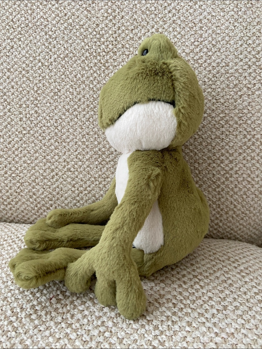 Jellycat Finnegan Frog Plush Toy I-11 - Picture 3 of 7
